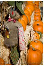 Scarecrow 2 Stock Image