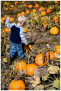 Kid in a Pumpkin Patch 2 Stock Image
