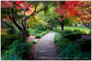 Japanese Garden Fall 2 Stock Image, Lithia Park, Ashland, Oregon