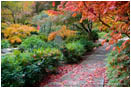 Japanese Garden Fall 3 Stock Image, Lithia Park, Ashland, Oregon
