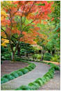 Japanese Garden Fall 4 Stock Image, Lithia Park, Ashland, Oregon