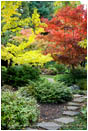 Japanese Garden Fall 5 Stock Image, Lithia Park, Ashland, Oregon