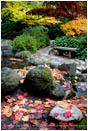 Japanese Garden Fall 7 Stock Image, Lithia Park, Ashland, Oregon
