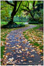 Autumn Park 2 Stock Image, Lithia Park, Ashland, Oregon