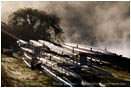 Rowing Shells at Emigrant Lake 2 Stock Image Ashland, Oregon