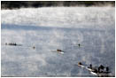 Rowing on Emigrant Lake 2 Stock Image Ashland, Oregon