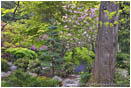 Print: Japanese Garden In Spring II