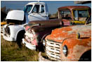 Old Trucks 2 Stock Image Talent, Oregon