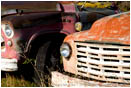 Old Trucks 3 Stock Image Talent, Oregon