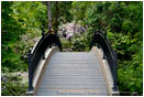 Lithia Park Bridge Stock Image Ashland, Oregon