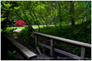 Wooden Bridge in Lithia Park Stock Image Ashland, Oregon