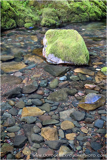 Royalty Free Stock Photo: Wilson Creek