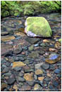 Royalty Free Stock Photo: Wilson Creek