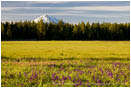 Mt. McLoughlin across Howard Prairie Stock Image Ashland, Oregon