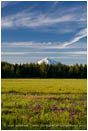 Mt. McLoughlin across Howard Prairie 2 Stock Image Ashland, Oregon