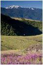 Mt. Ashland 9 Stock Image Ashland, Oregon