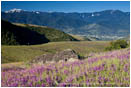 Mt. Ashland 10 Stock Image Ashland, Oregon