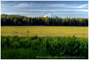 Mt. McLoughlin across Howard Prairie 3 Stock Image Ashland, Oregon