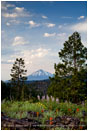 Mt. McLoughlin  with Wildflowers Stock Image Ashland, Oregon