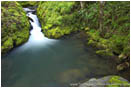 Royalty Free Stock Photo: Fall Creek