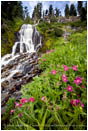 Vidae Falls 2 Stock Image Oregon