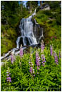 Vidae Falls 3 Stock Image Oregon