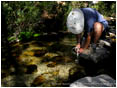 Filtering Water Stock Image High Sierras, Callifornia