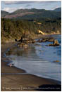 Port Orford Stock Image Oregon Coast