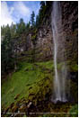 Watson Falls Stock Image North Umpqua River, Oregon
