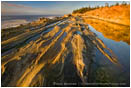 Shore Acres State Park Stock Image Oregon Coast