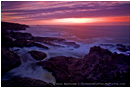 Shore Acres State Park 2 Stock Image Oregon Coast