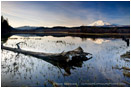 Mt. Adams Reflection 2 Stock Image Cascade Mountains, Washington