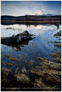Mt. Adams Reflection 3 Stock Image Cascade Mountains, Washington