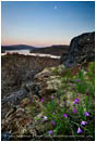 Columbia River 4 Stock Image Oregon