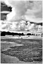 Print: Bandon Beach Shapes