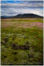 Table Rocks overlooking Wildflower field 3 Stock Image Medford, Oregon