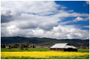 Barn in the Rogue Valley Stock Image Medford, Oregon