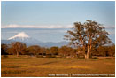 Mt. McLoughlin 9 Stock Image Medford, Oregon