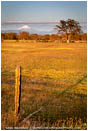 Mt. McLoughlin 8 Stock Image Medford, Oregon