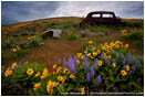 Abandoned Car 2 Stock Image Dalles Mountain Ranch, Columbia Gorge, Washington