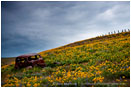 Abandoned Car 3 Stock Image Dalles Mountain Ranch, Columbia Gorge, Washington