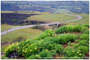 Historic Columbia River Highway Stock Image Columbia Gorge, Oregon