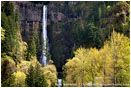 Multnomah Falls Stock Image Columbia Gorge, Oregon