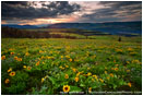 Rowena Hills 4 Stock Image Columbia Gorge, Oregon