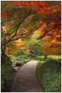 Tree Hall Print Lithia Park, Ashland, Oregon