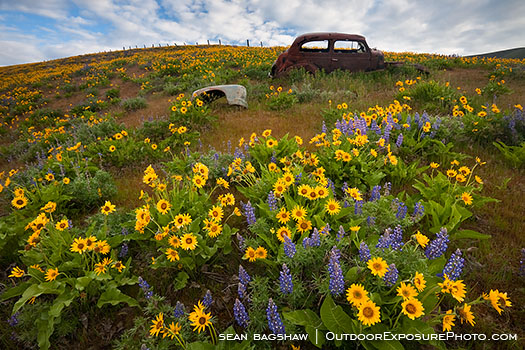 Abandoned Car 4 Stock Image Dalles Mountain Ranch, Columbia Gorge, Washington