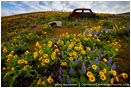Abandoned Car 4 Stock Image Dalles Mountain Ranch, Columbia Gorge, Washington