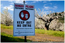 Cherry Orchard Danger Stock Image Columbia Gorge, Oregon