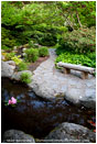 Japanese Garden in Spring 3 Stock Image Ashland, Oregon