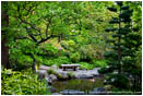 Japanese Garden in Spring 5 Stock Image Ashland, Oregon